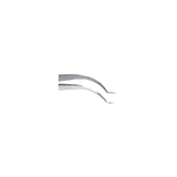 Bracket and Buccal Tube Holder