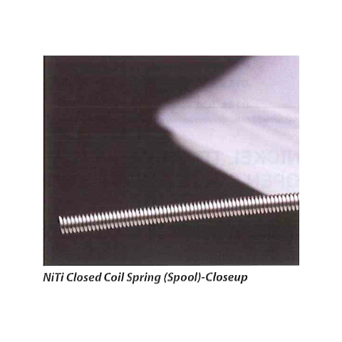 Nickel Titanium Open and Closed Coil Spring (15")